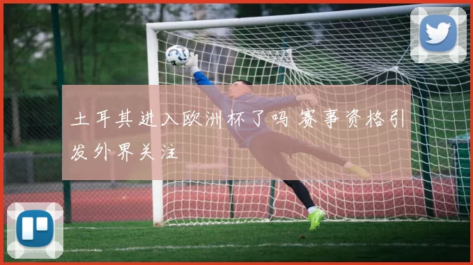 土耳其进入欧洲杯了吗 赛事资格引发外界关注