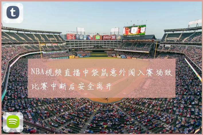 NBA视频直播中袋鼠意外闯入赛场致比赛中断后安全离开