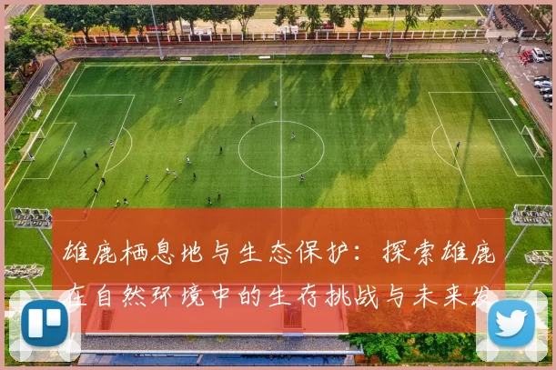 雄鹿栖息地与生态保护：探索雄鹿在自然环境中的生存挑战与未来发展潜力