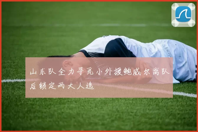 山东队全力寻觅小外援鲍威尔离队后锁定两大人选