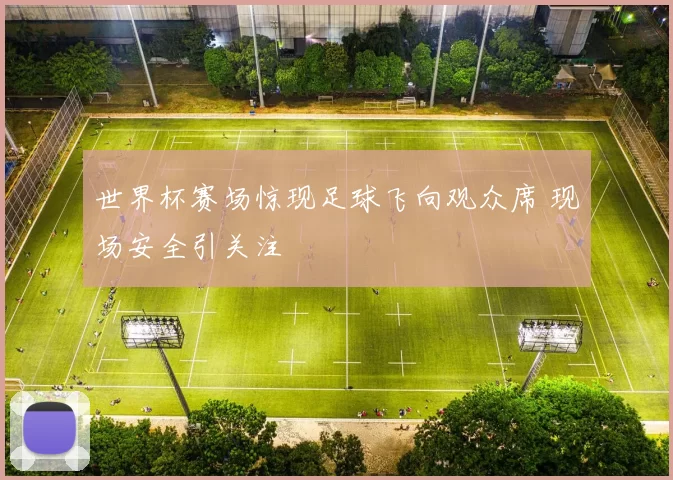 世界杯赛场惊现足球飞向观众席 现场安全引关注