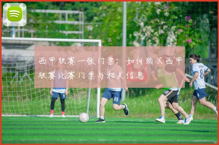 西甲联赛一张门票：如何购买西甲联赛比赛门票与相关信息
