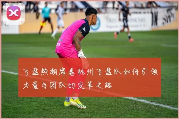 飞盘热潮席卷杭州飞盘队如何引领力量与团队的变革之路