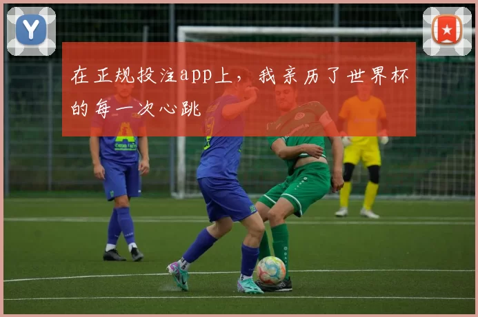 在正规投注app上,我亲历了世界杯的每一次心跳