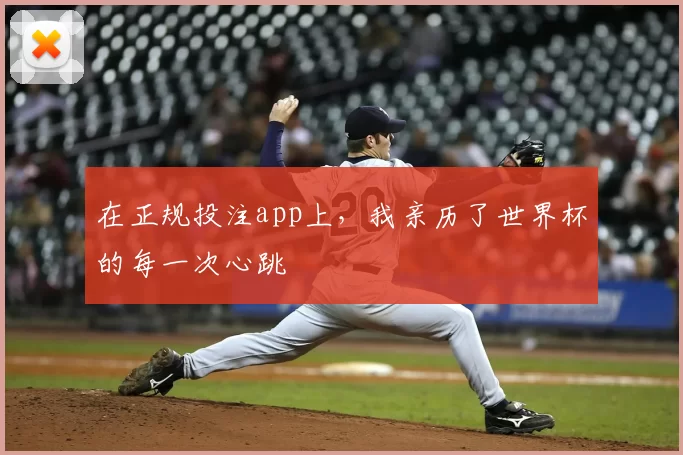 在正规投注app上，我亲历了世界杯的每一次心跳