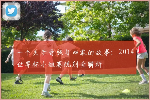 一个关于晋级与回家的故事:2014世界杯小组赛规则全解析