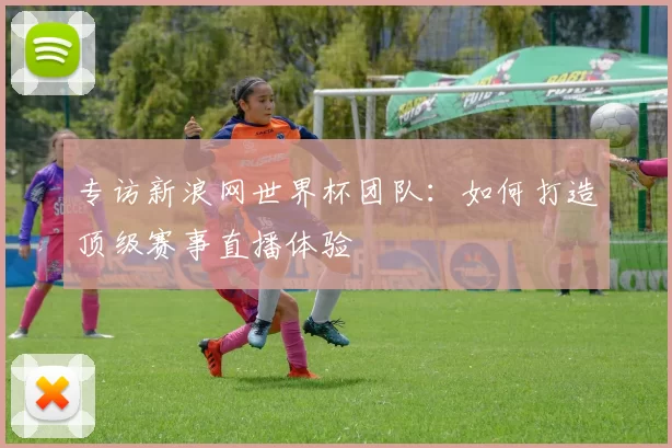 专访新浪网世界杯团队：如何打造顶级赛事直播体验
