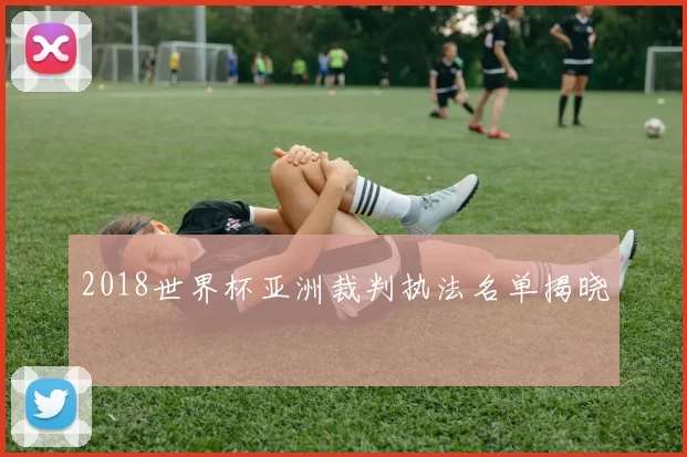 2018世界杯亚洲裁判执法名单揭晓
