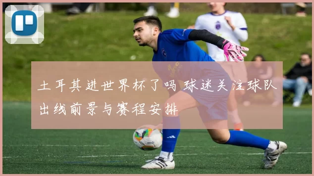 土耳其进世界杯了吗 球迷关注球队出线前景与赛程安排