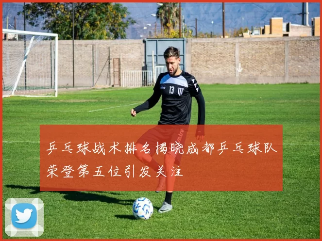 乒乓球战术排名揭晓成都乒乓球队荣登第五位引发关注