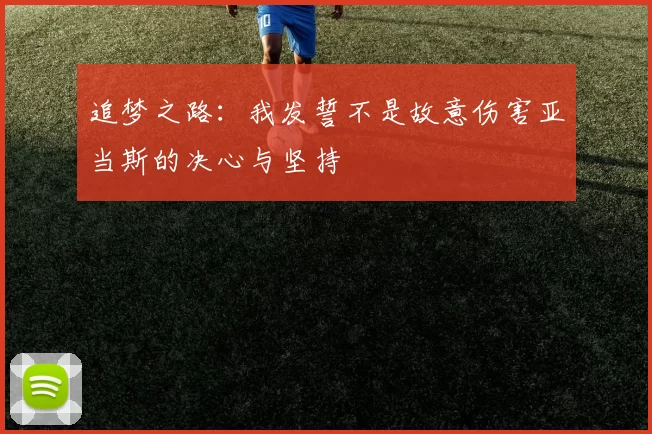 追梦之路:我发誓不是故意伤害亚当斯的决心与坚持
