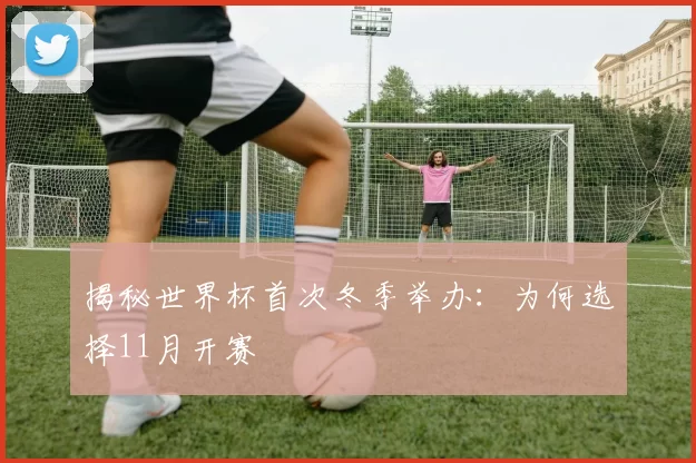 揭秘世界杯首次冬季举办:为何选择11月开赛